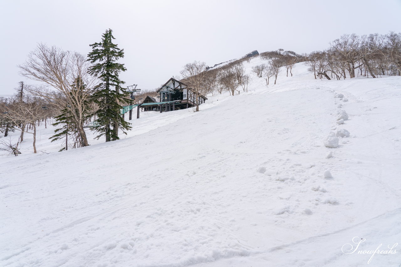 大雪山層雲峡・黒岳ロープウェイスキー場　本日の積雪 310cm。神々の遊ぶ庭でのんびり春スキー＆スノーボードを楽しみましょう♪